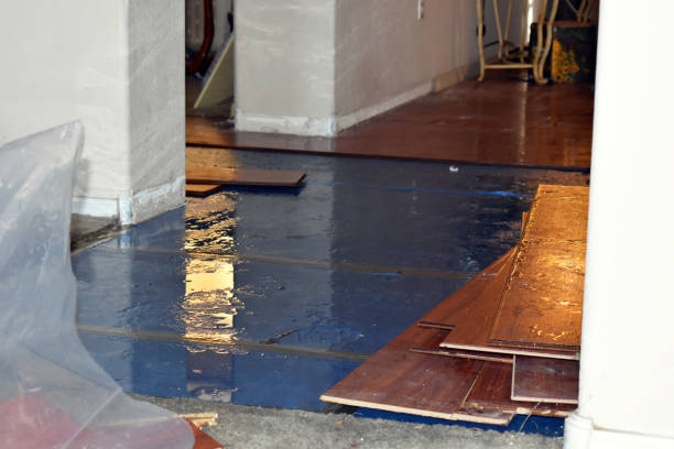 Professional Burst Pipe Cleanup technician working in Warrington, PA